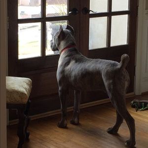 Meet your Posher, Sherolyn